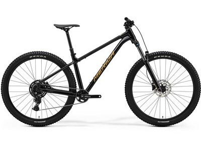 MERIDA Big Trail 300