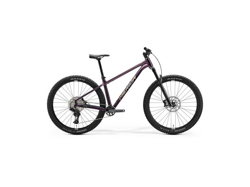 MERIDA Big Trail 600 click to zoom image