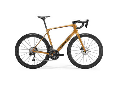 MERIDA Scultura Endurance 6000