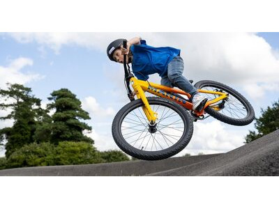 MARIN Alcatraz Dirt Jump 24" click to zoom image