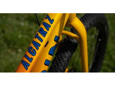 MARIN Alcatraz Dirt Jump 24" click to zoom image