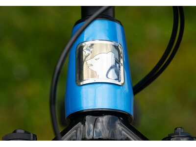 MARIN San Quentin Jr 24 click to zoom image