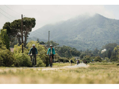 MARIN Fairfax 2 click to zoom image