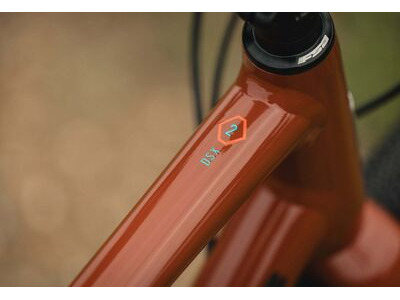 MARIN DSX 2 click to zoom image